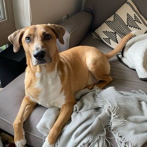 Meet your Posher, Samantha